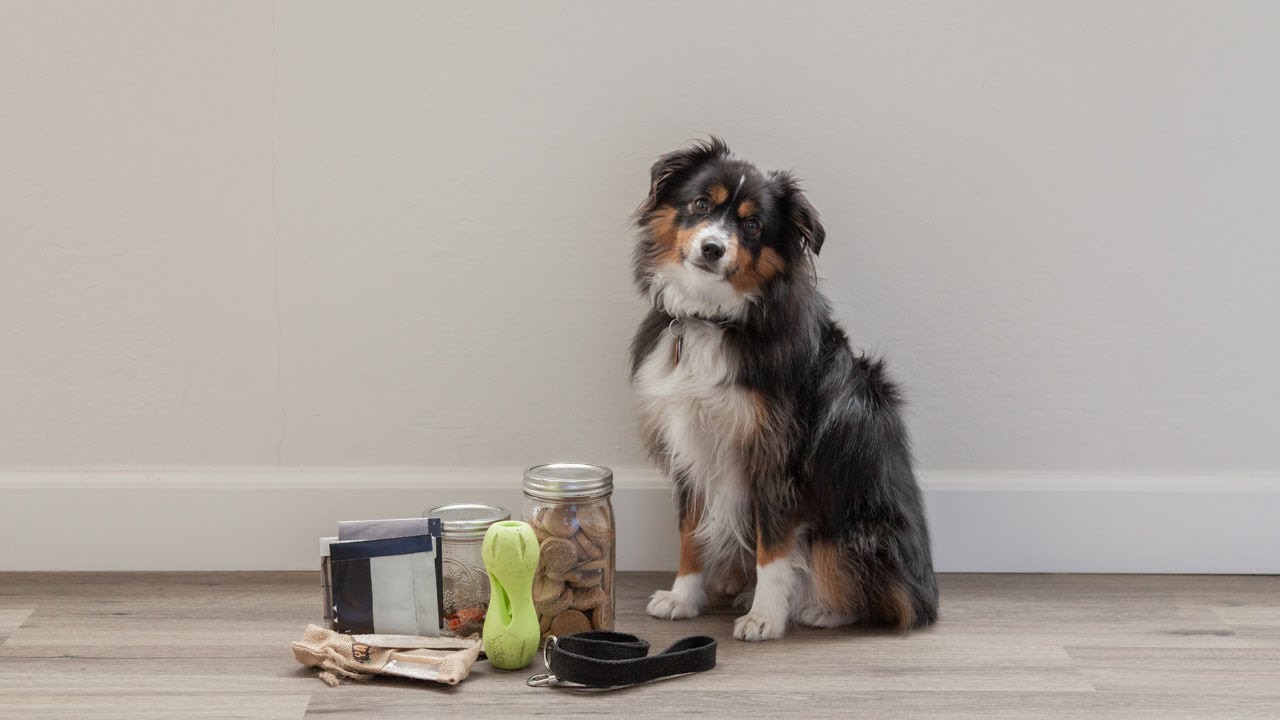 Zero waste dog care