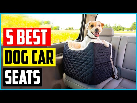 The 5 Best Dog Car Seats Boosters – [2021 Reviews]