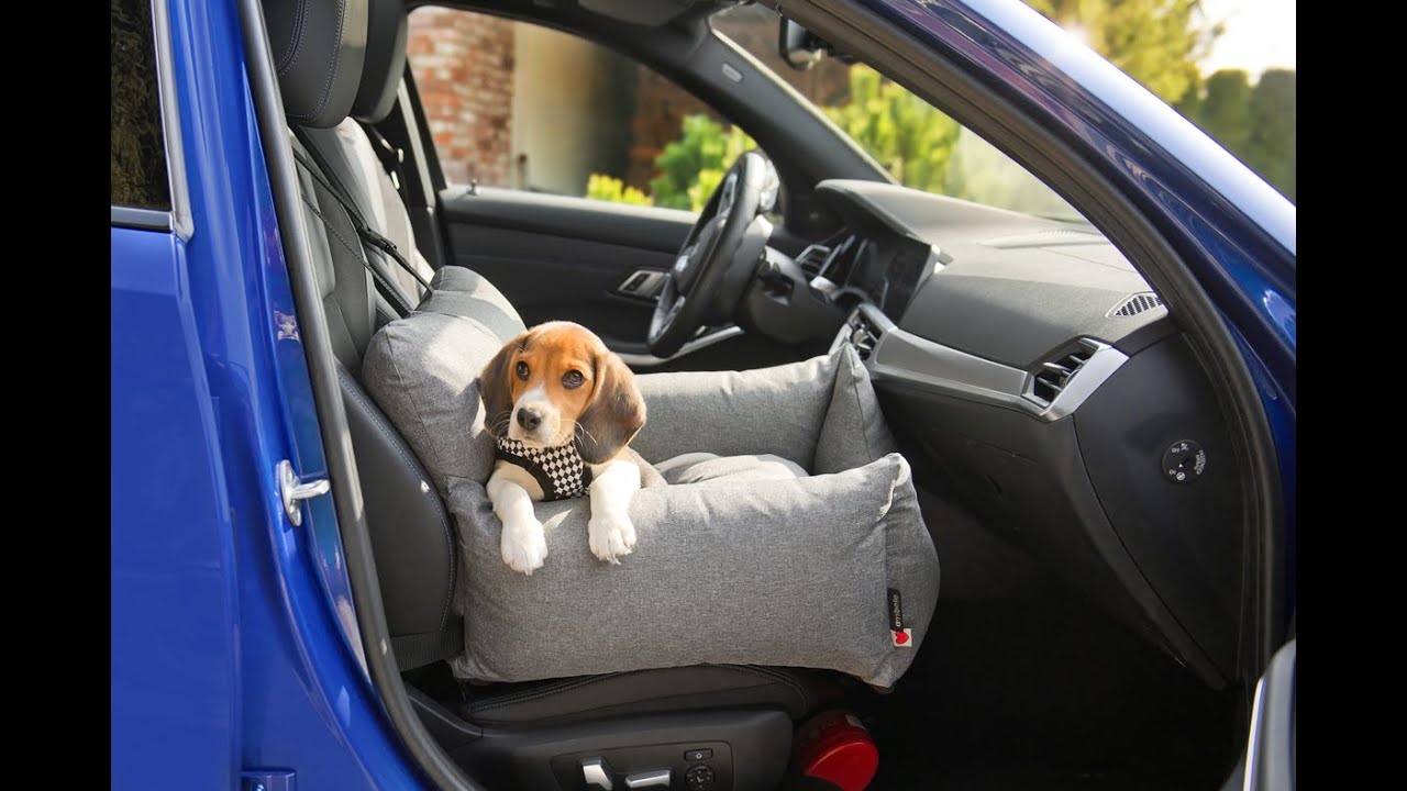 Amibelle®  DOG CAR SEATS