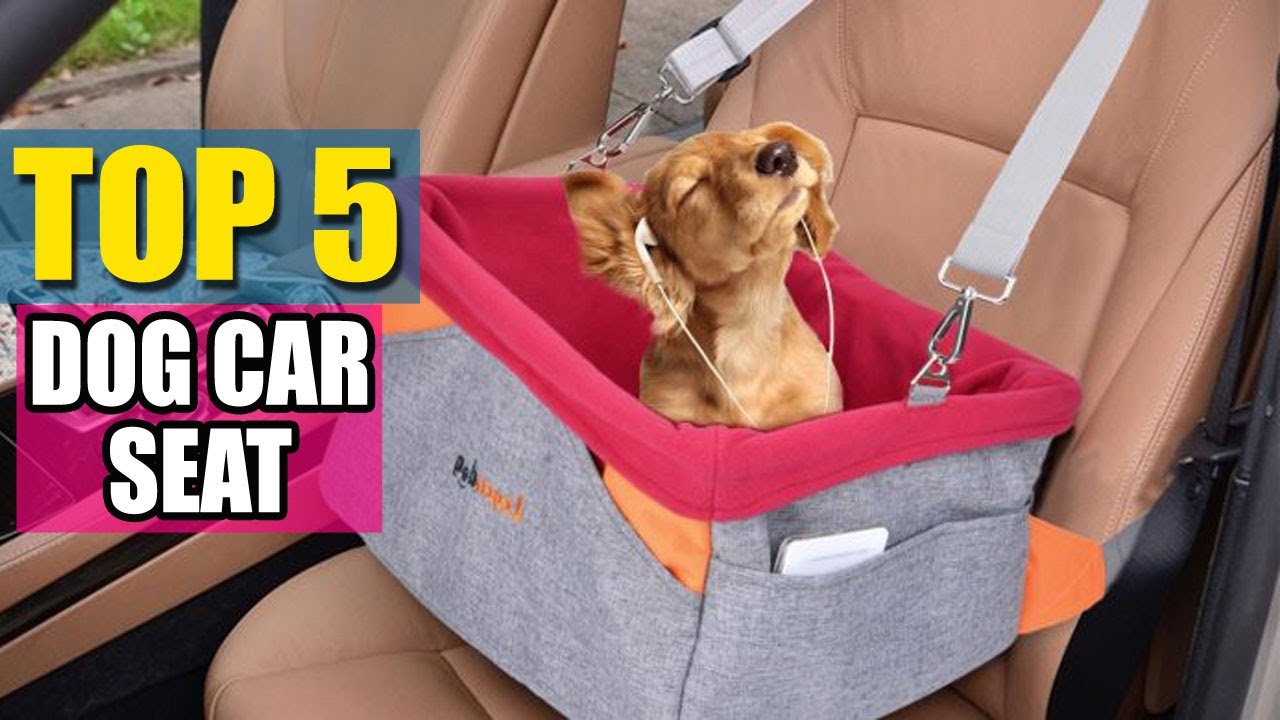 Best Dog Car Seat in 2021 – Top 5 Dog Car Seats Review