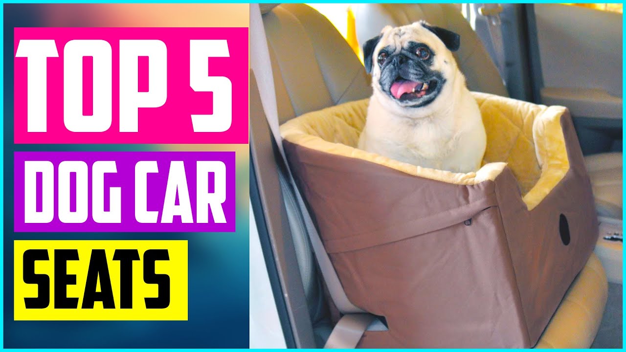 Best Dog Car Seats And Booster Seats in 2020