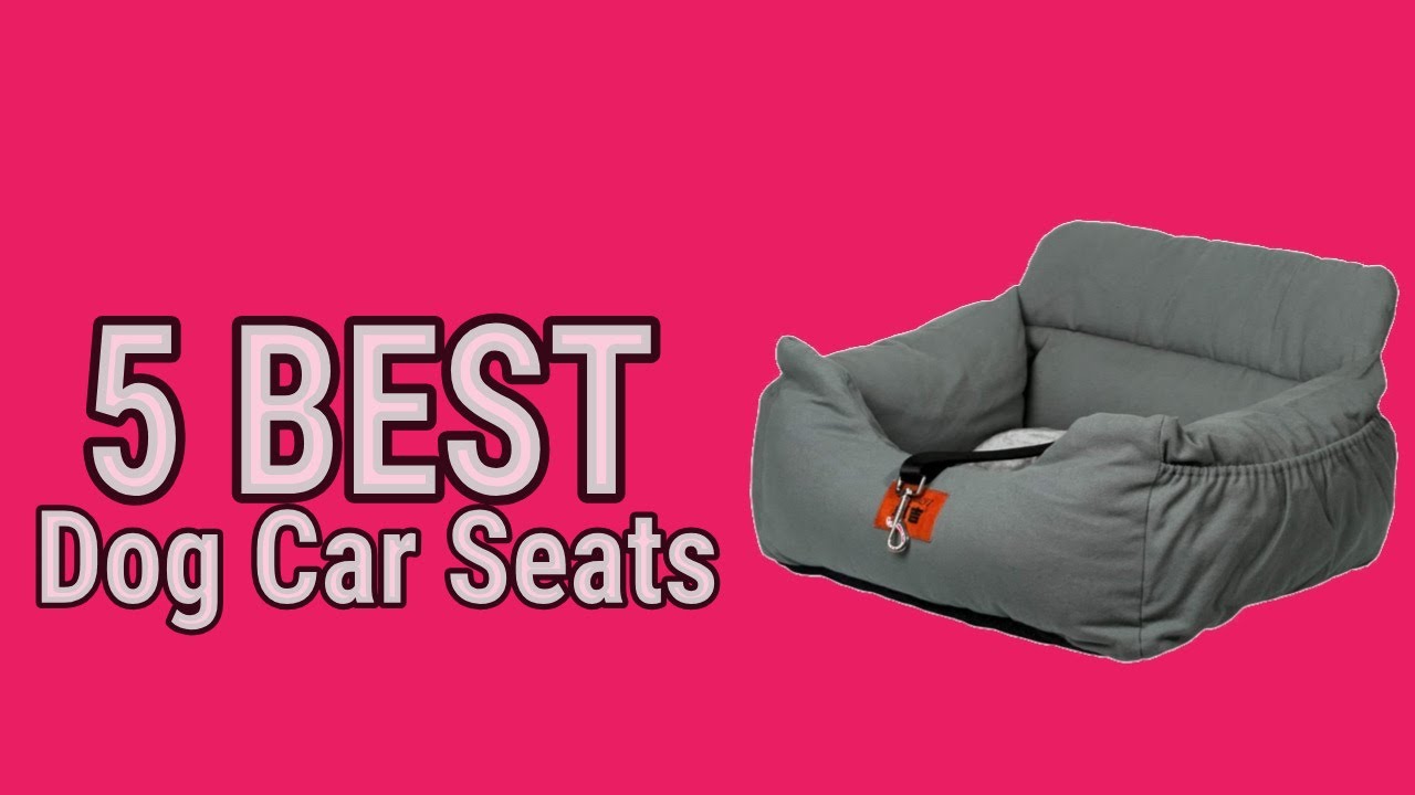 5 Best Dog Car Seats