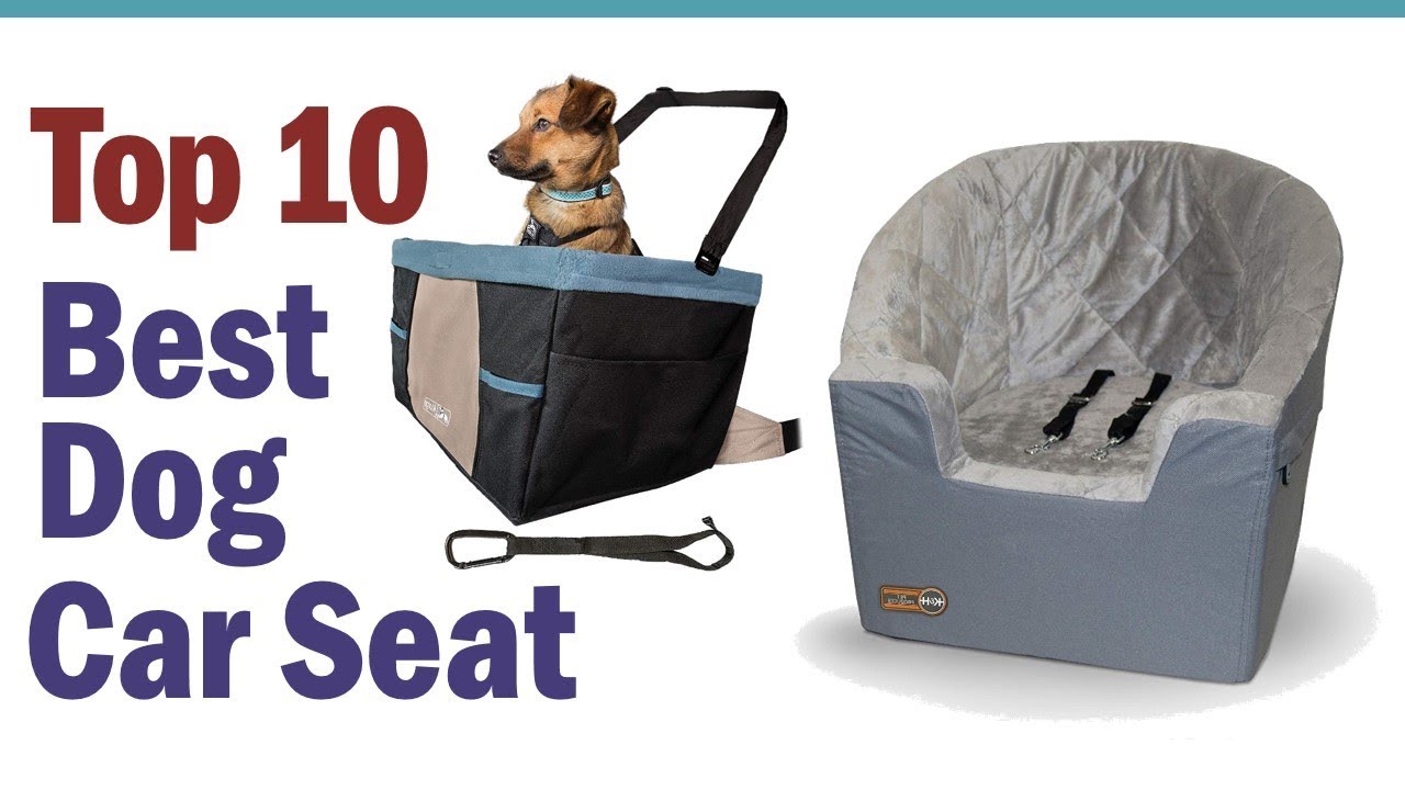 Best Dog Car Seat 2020 || Top10 Best Dog Car Seats