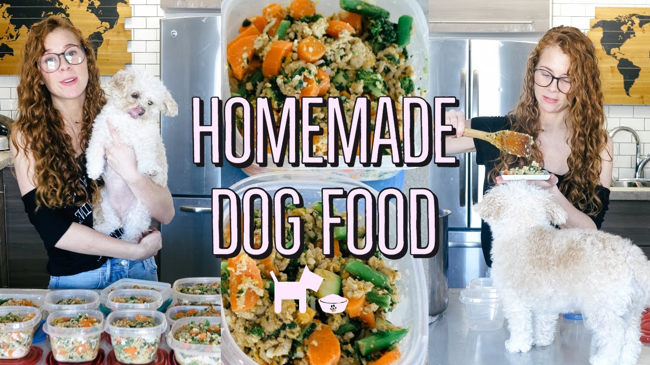 HOMEMADE + HEALTHY DOG FOOD RECIPE | COOKING FOR YOUR DOG