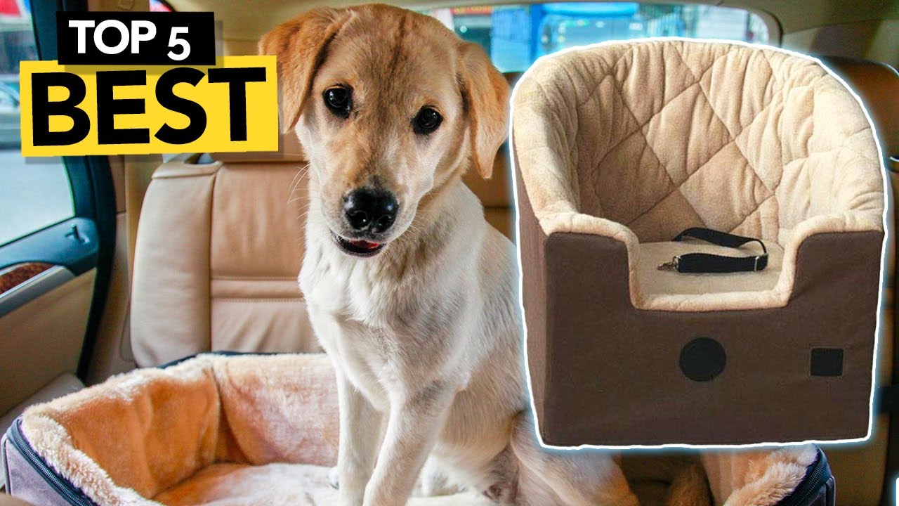 Best Dog Car Seat 2021