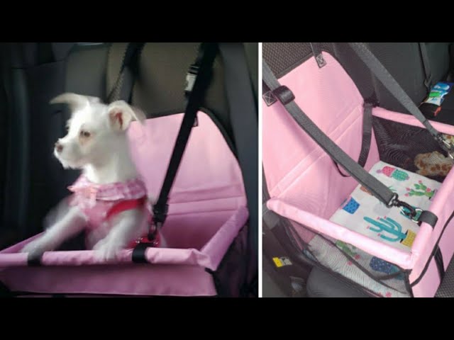 DIY DOG Car Seat | HIPPIH Dog Car Seat | How to Make Sturdy