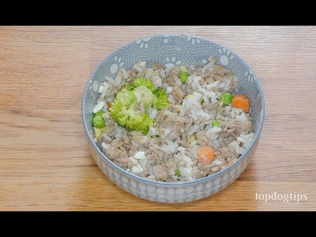 Homemade Dog Food for Urinary Tract Health Recipe