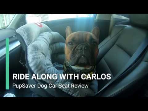 Ride Along With Carlos | PupSaver Review | Best Dog Car Seats