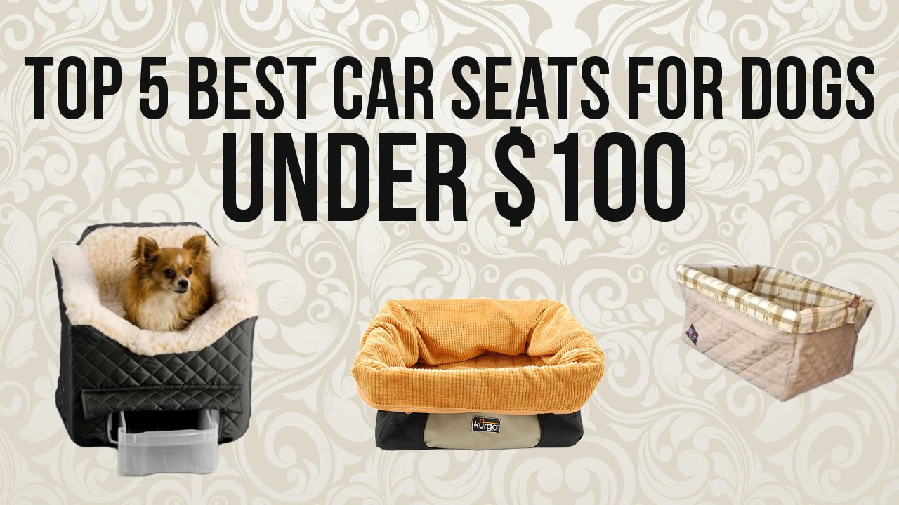 Top 5 Best Car Seats for Dogs under $100