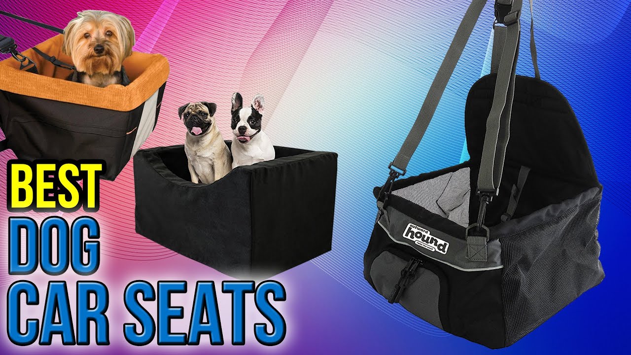 10 Best Dog Car Seats 2017