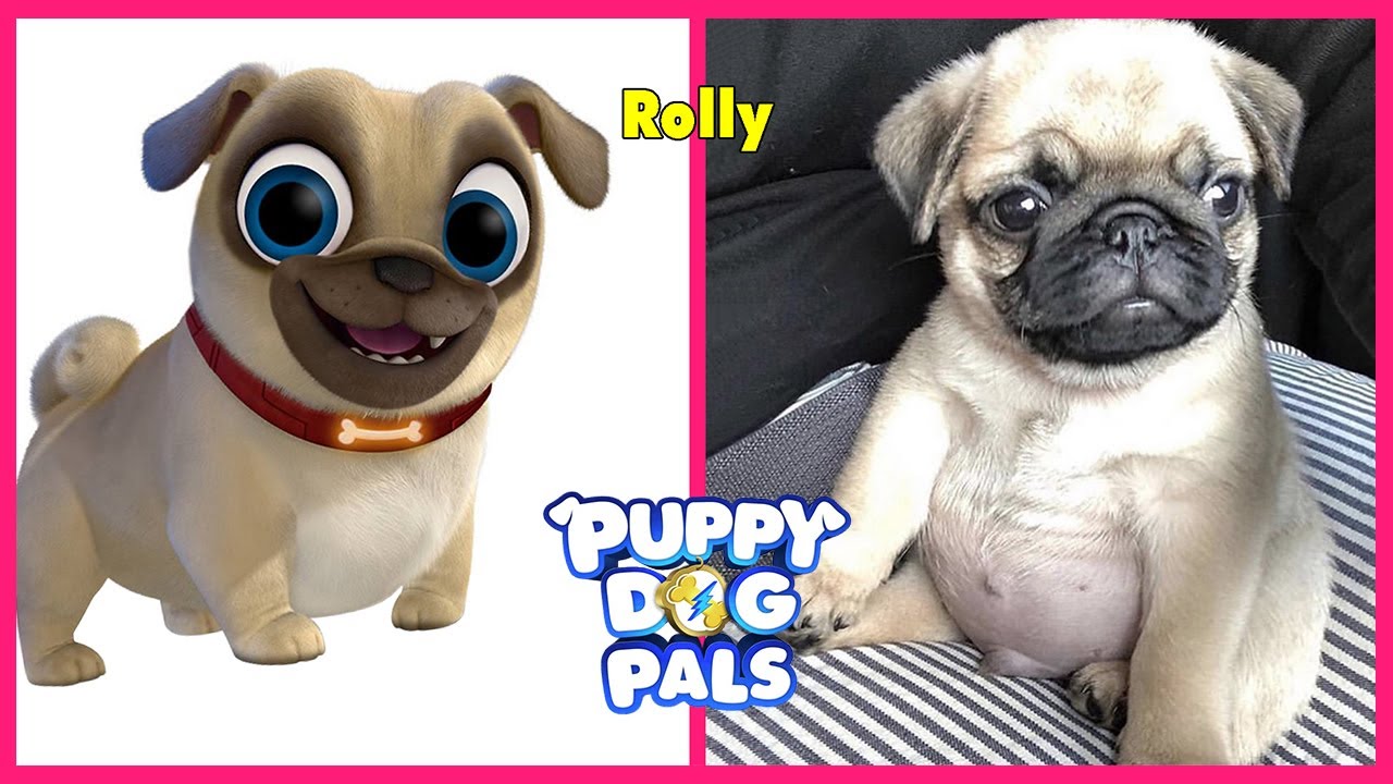 Puppy Dog Pals In Real Life 2019-2020  Video | Tup Viral