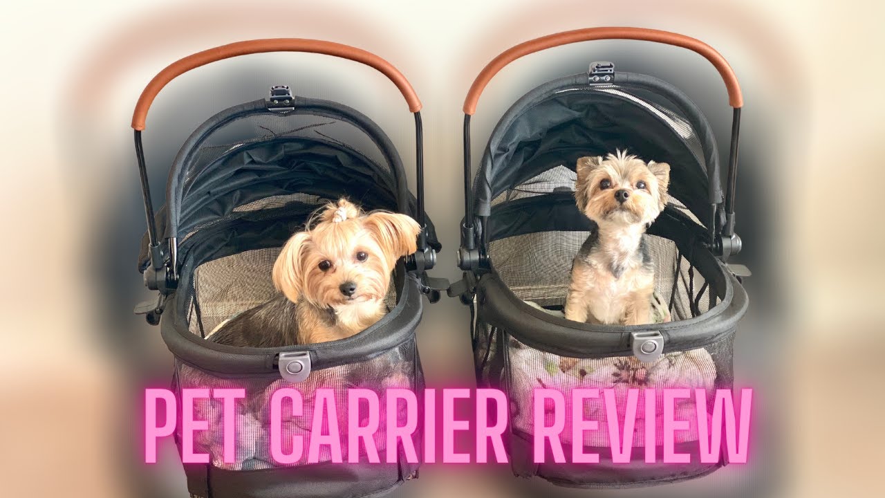 Pet Gear View 360 Pet Carrier & Car Seat | Review | Unboxing