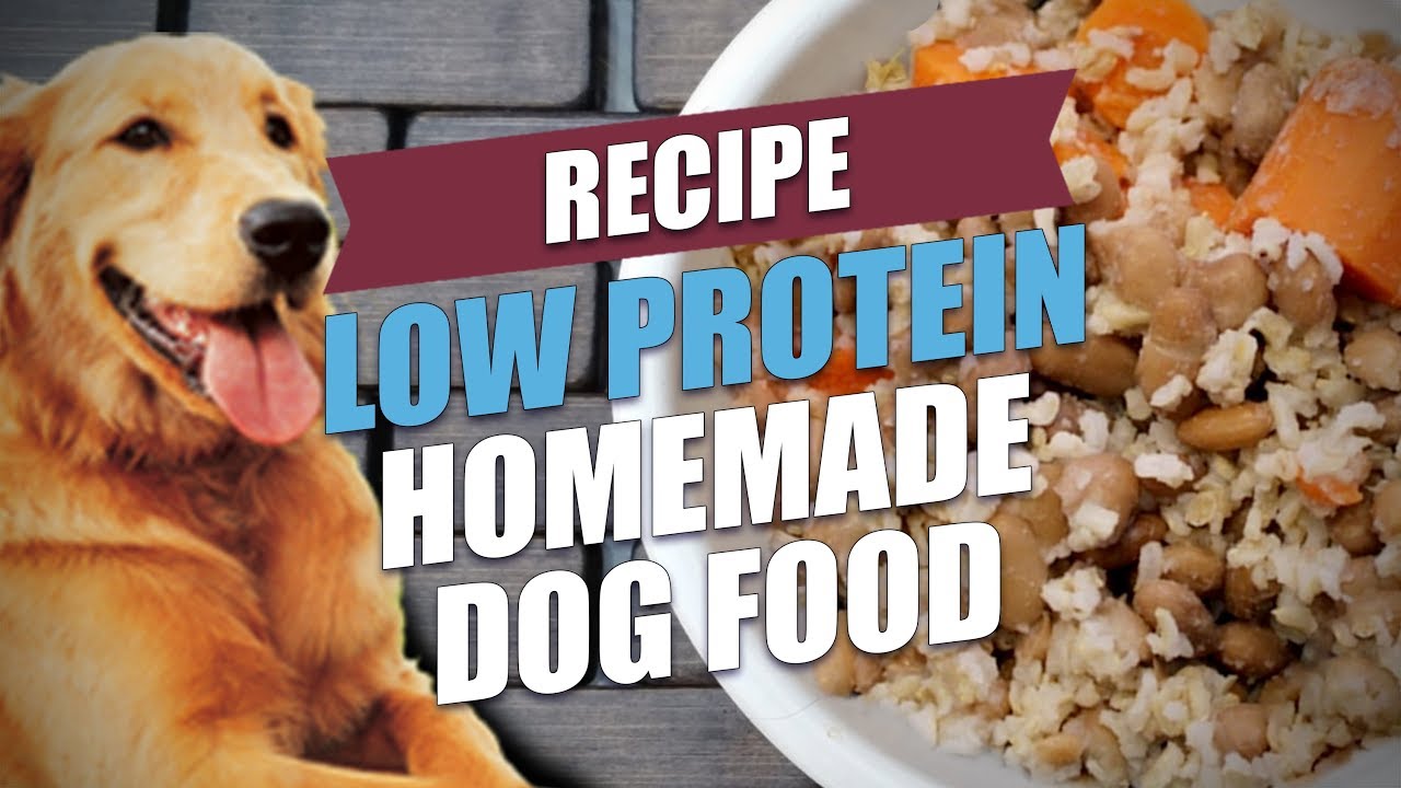 Low Protein Homemade Dog Food Recipe (Cheap and Healthy)