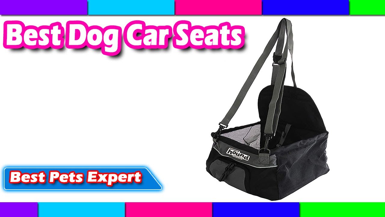 Best Dog Car Seats