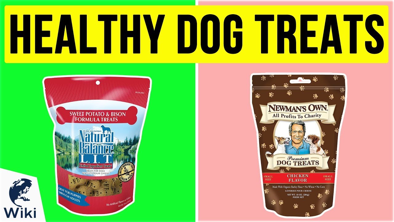 10 Best Healthy Dog Treats 2020