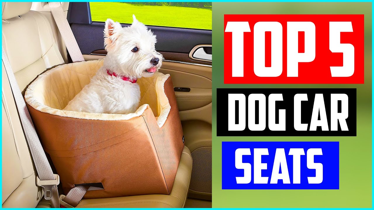 Best Dog Car Seats Reviews Top 5 Video Reviews and Buying Guide (2020)