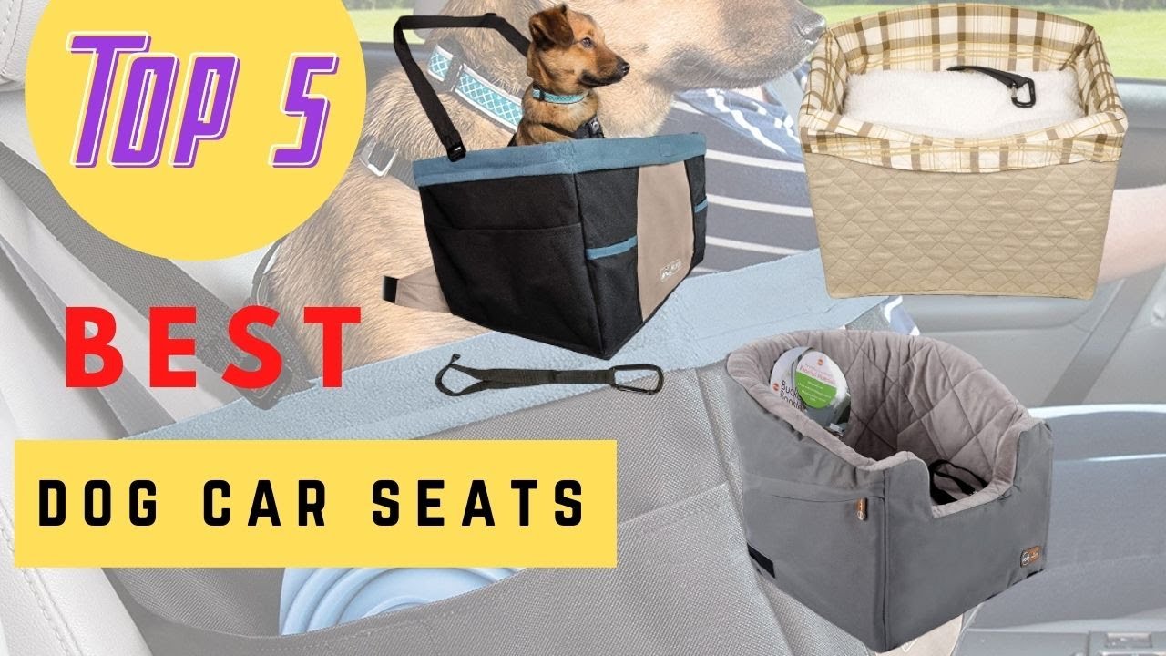 Top 5 Best Dog Car Seats Review 2020