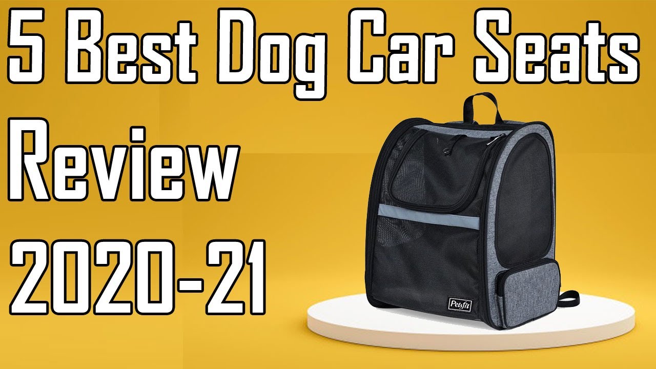 5 Best Dog Car Seats Review 2021