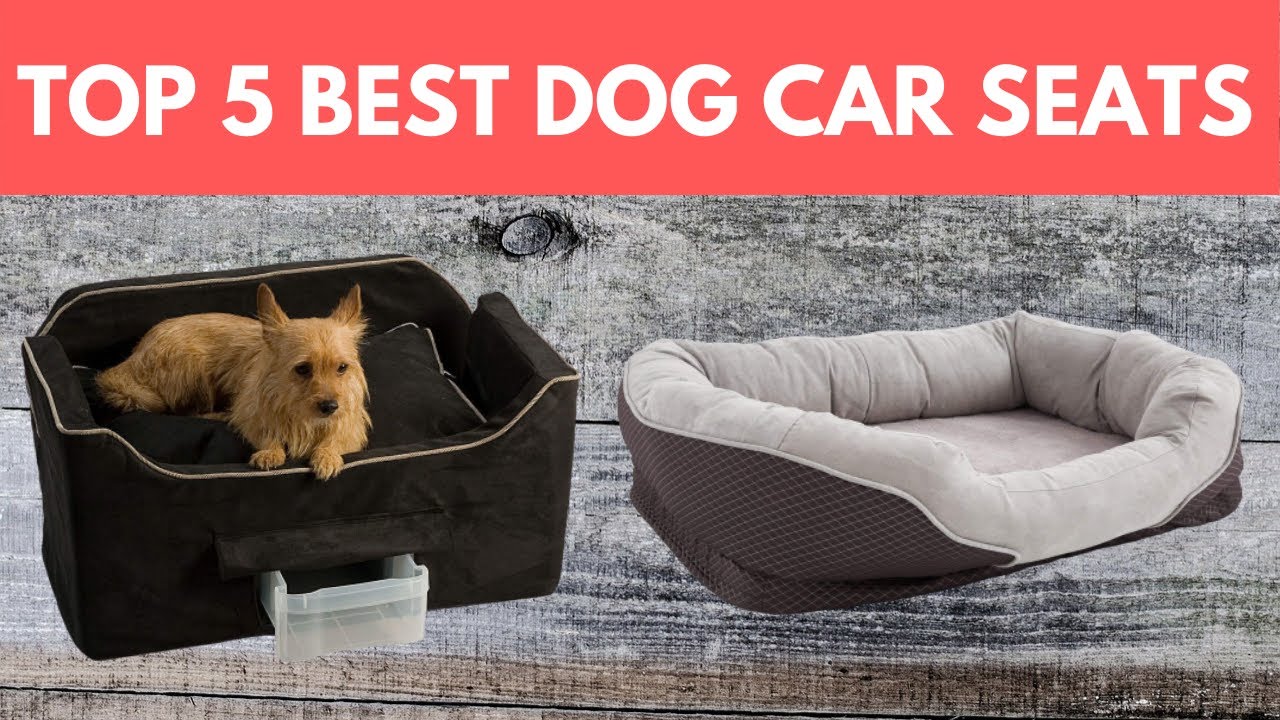 Top 5 Dog Car Seats | The Best Dog Car Seats 2021