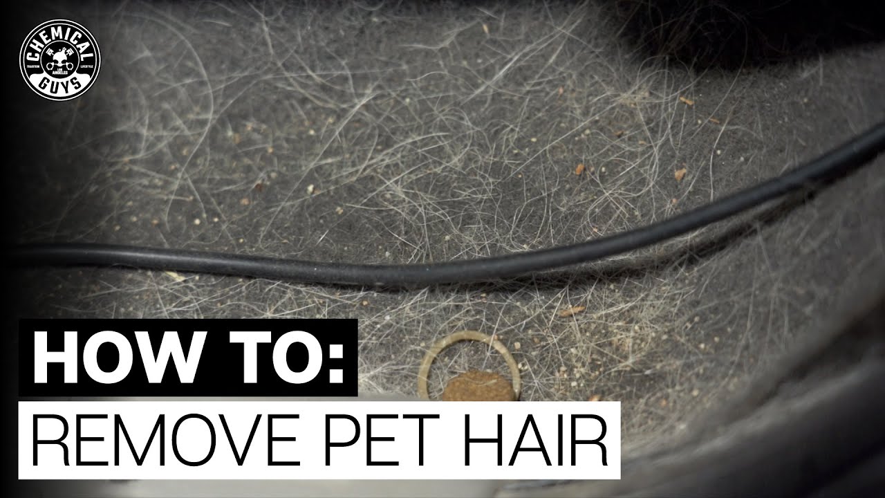 Easiest Way to Remove Pet Hair in Seconds – Chemicals Guys