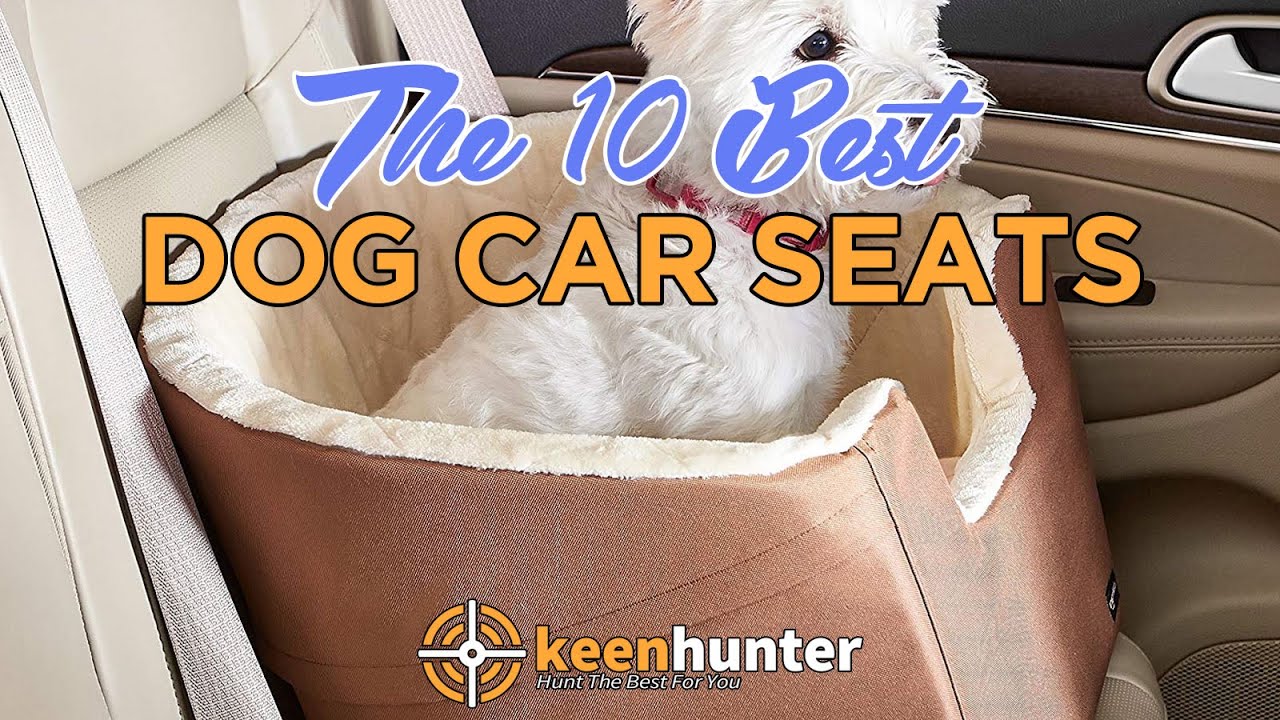 Dog Car Seat: Top 10 Best Dog Car Seats Video Reviews (2020 NEWEST)