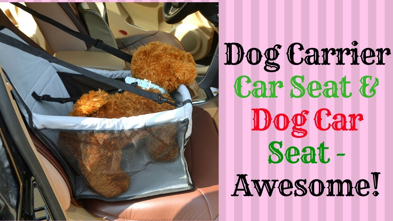 Dog Carrier Car Seat & Dog Car Seat || Awesome 2019