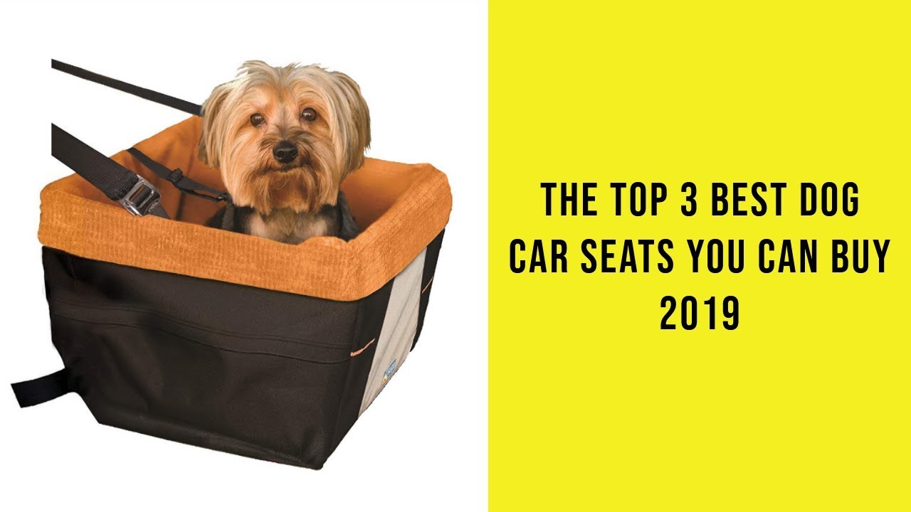 The Top 3 Best Dog Car Seats You Can Buy 2019