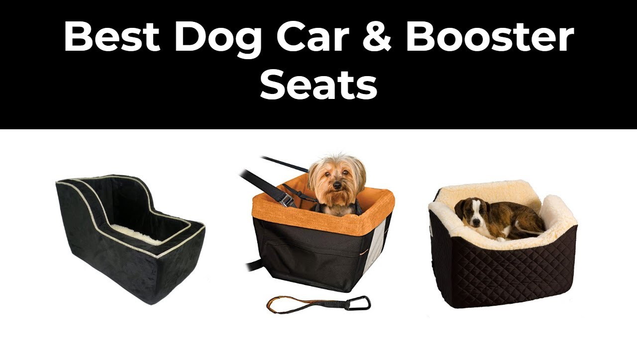 Best Dog Car & Booster Seats in 2020