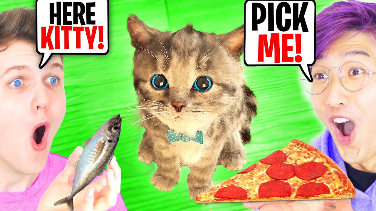 LANKYBOX ADOPTS A KITTEN!? (*LITTLE KITTEN ADVENTURES* PET CARE GAME!)