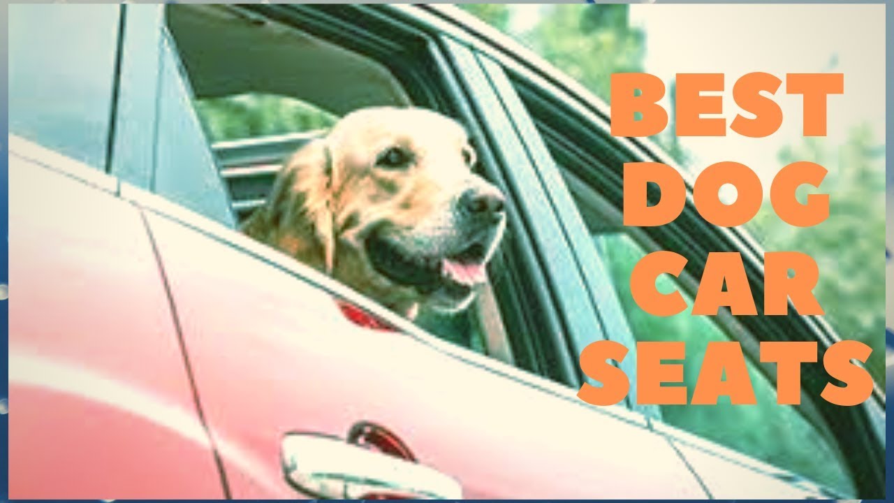 Best Dog Car Seats – Keep Your Dog Safe While Driving