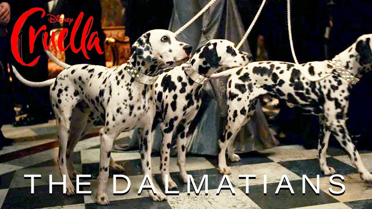 Dalmatians and Puppies Scene | Disney’s Cruella (HD)