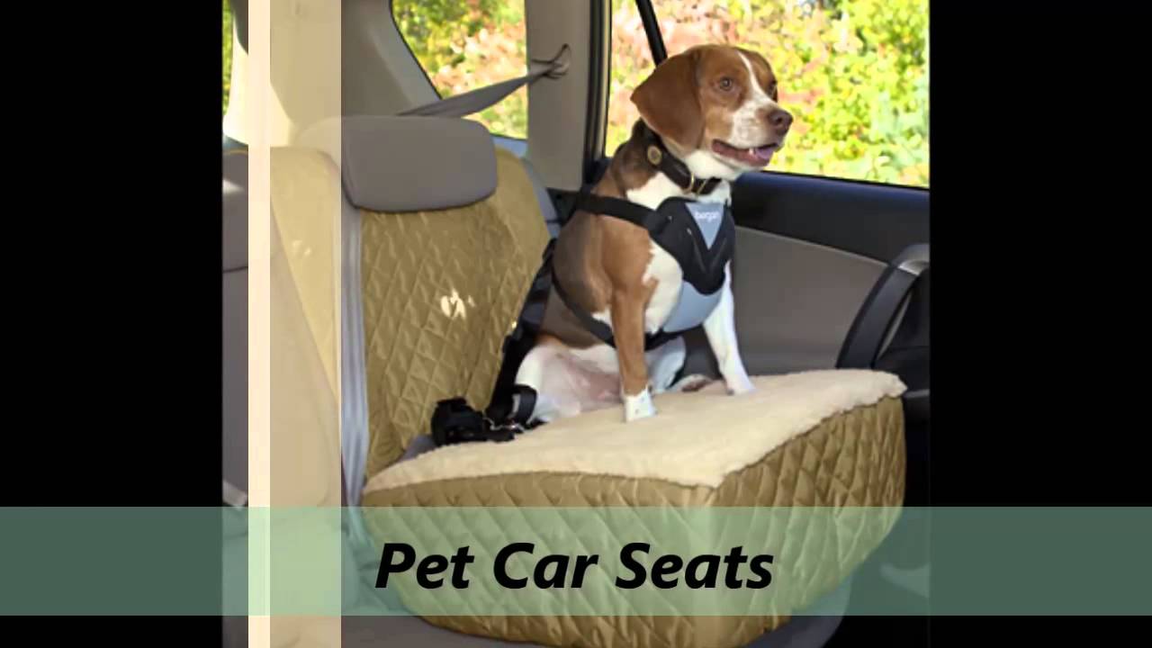 Dog Car Seats