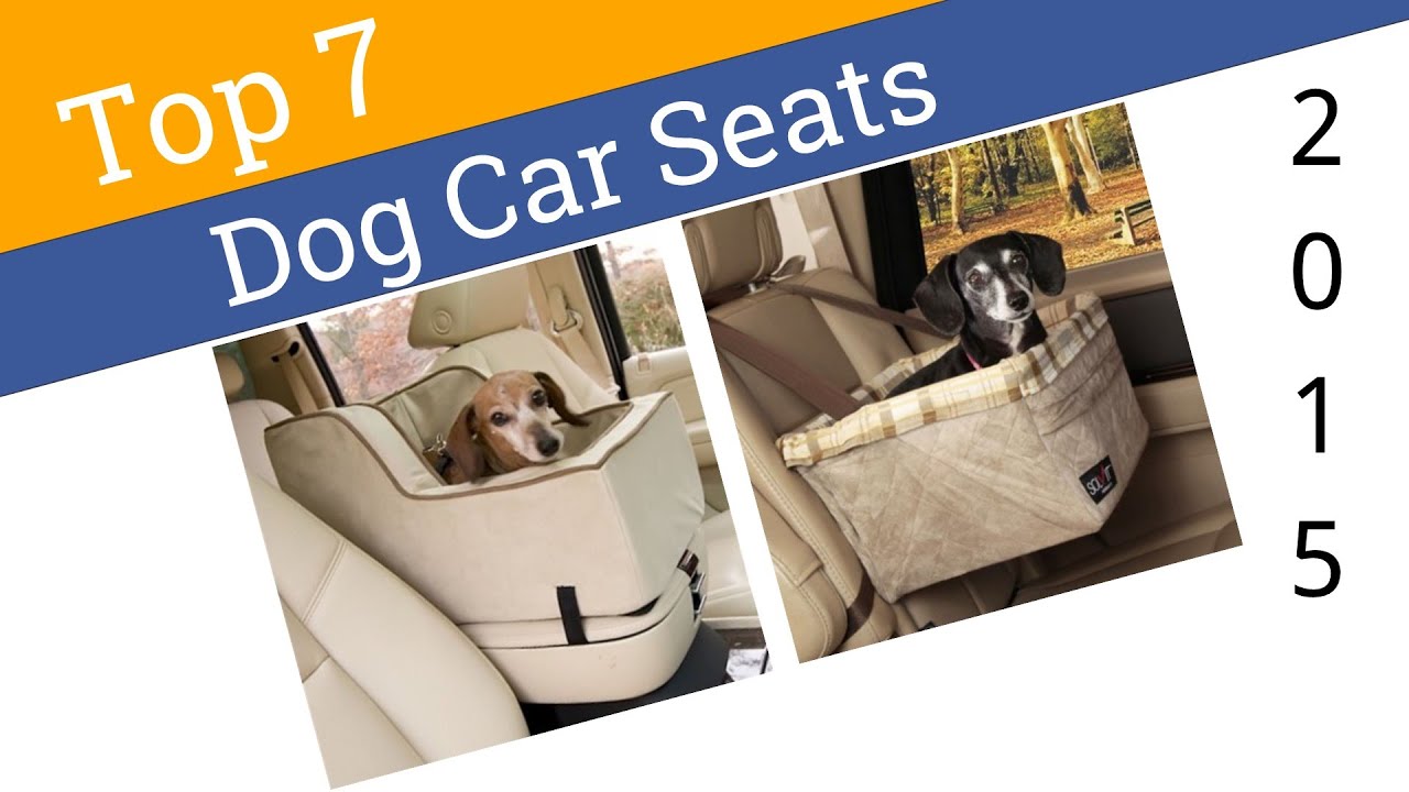 7 Best Dog Car Seats 2015