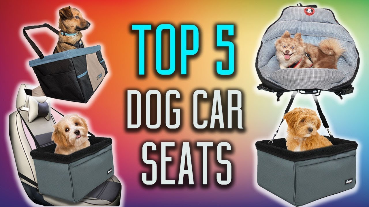 Best Dog Car Seats In 2018 – Best Car Seats for Dogs Under $100