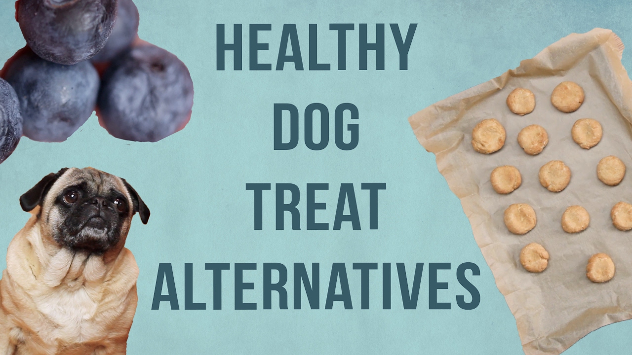 4 Healthy Dog Treat Alternatives