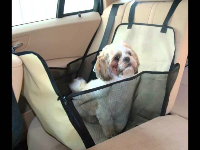 Why You Need Dog Pet Car Seats-PetStreetMall.com