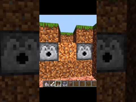 Minecraft Unlimited Dog Health #shorts