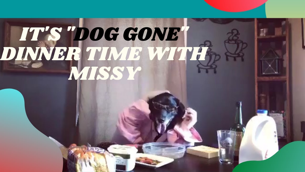 Funny Dog Video / Dog Gone Dinner Time Black Lab, Humor