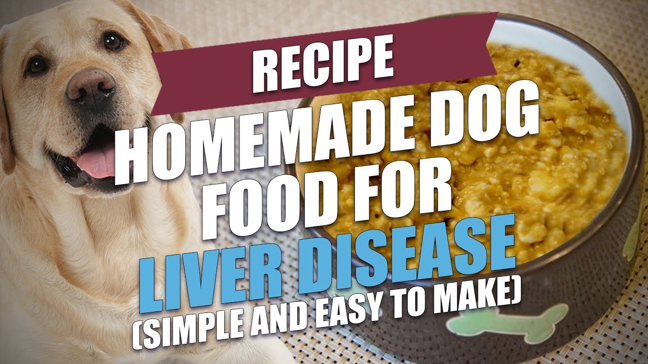 Homemade Dog Food for Liver Disease Recipe (Easy to Make)