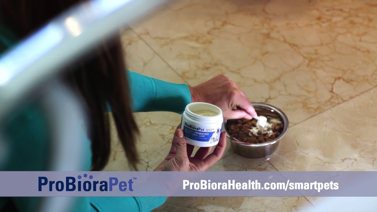 ProBiora Health – Smart Pets, Healthy Dog