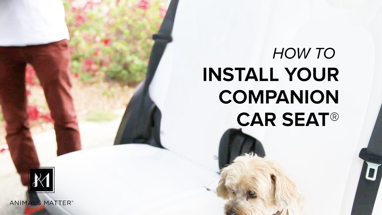 Animals Matter® Companion Car Seat® Installation Instructions