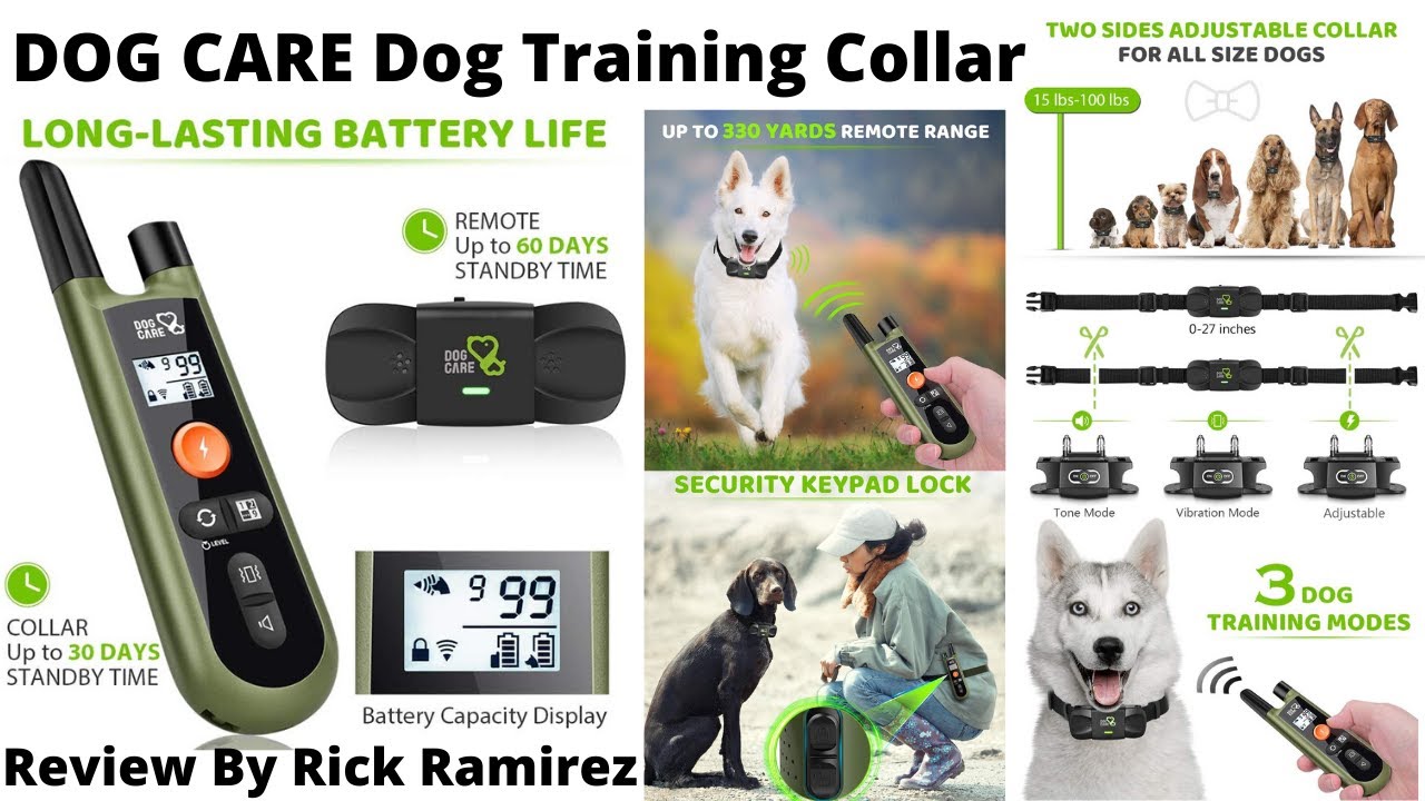 DOG CARE Best ReChargeable Waterproof Dog Training Collar 1000ft Remote Range Safe & Humane 2020