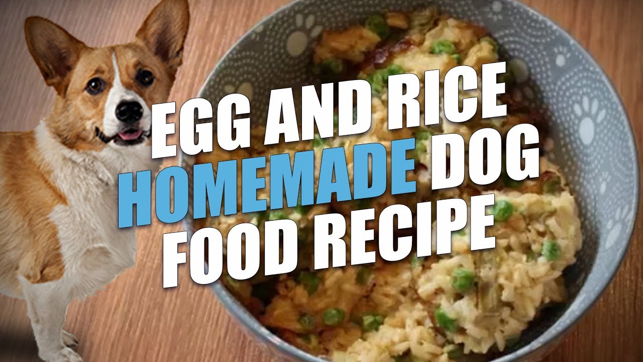 Egg and Rice Homemade Dog Food Recipe (Cheap and Healthy)