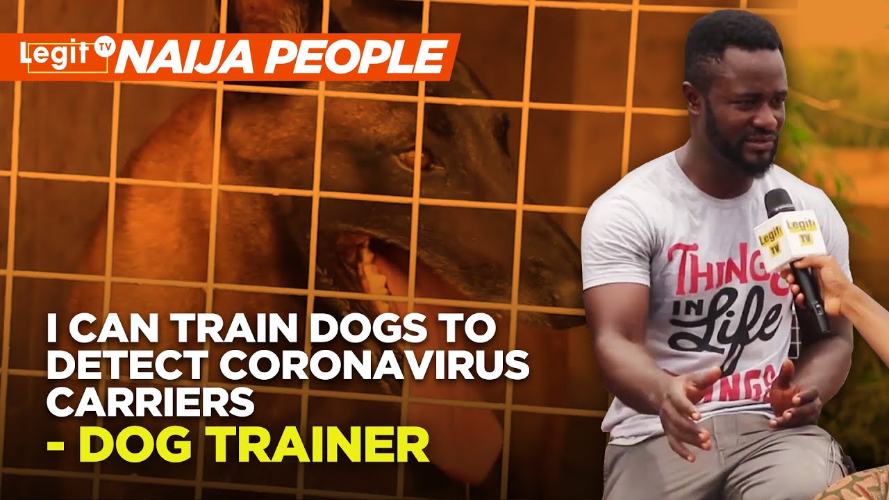 I can train dogs to detect Coronavirus carriers – dog trainer | Legit TV