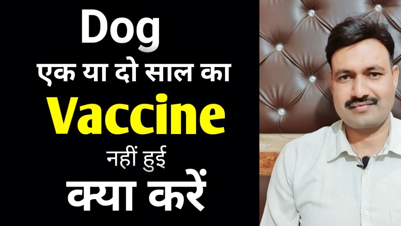 My dog not vaccinated yet   Ramawat dog care