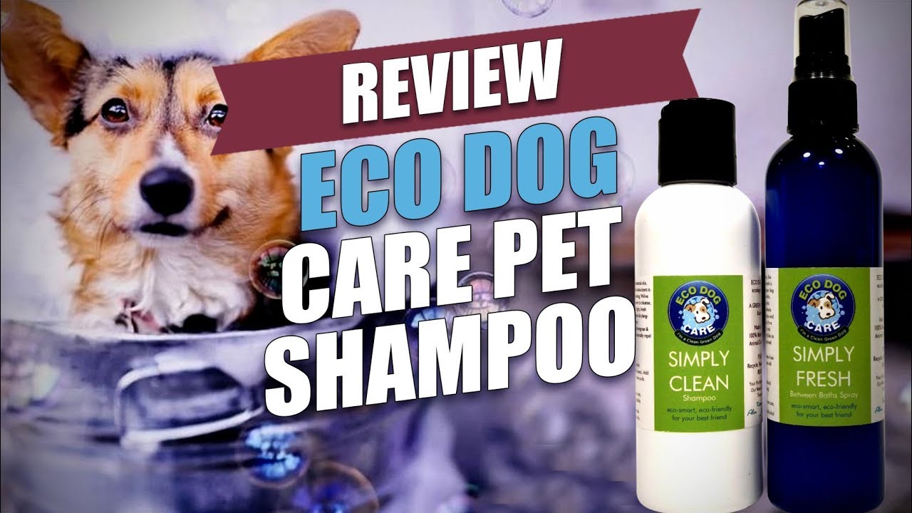 Eco Dog Care Pet Shampoo Review