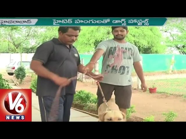 Dog Hostels | Dog Daycare Centers In Hyderabad | Happy Dogs Kennel | V6 News