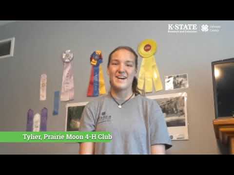 4-H Dog Care and Training   Tylier