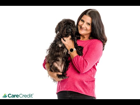 Dog Care Financing with #CareCredit for Dog Diabetes | Krisie’s Testimonial