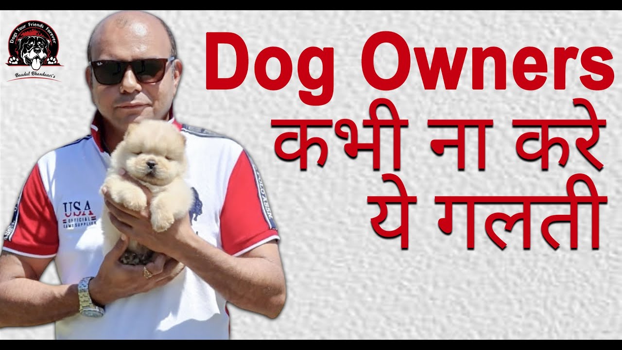 Importance of Dog Care (with Chow-Chow) | Tips for Dog Owner | How to Take Care? | Baadal Bhandaari